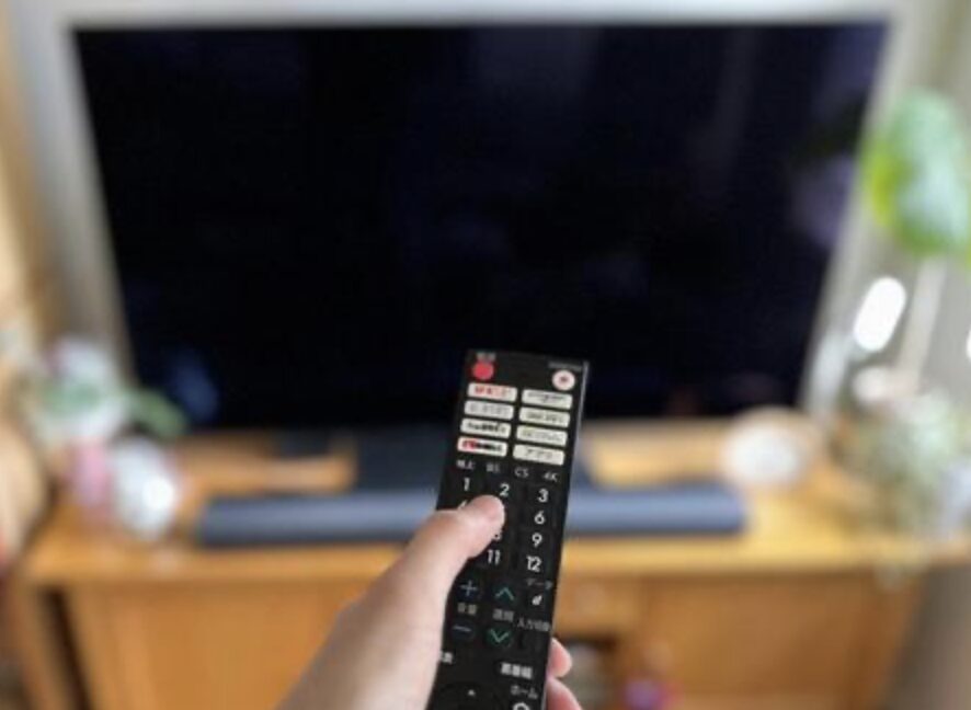 リモコンを手に持ち、電源が入っていないテレビ画面に向けて操作しようとしている様子。木製テレビ台の上にテレビが設置され、周囲には観葉植物や小物が置かれた落ち着いたリビング空間が広がっている。