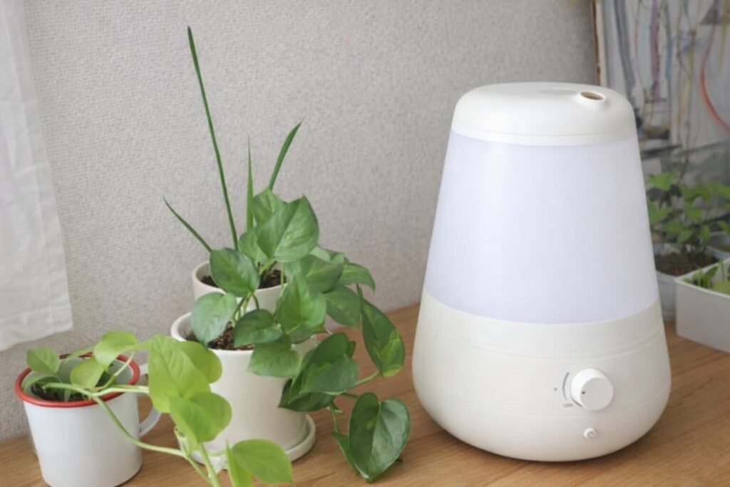 白い卓上型の加湿器が木製テーブルの上に置かれ、その横に観葉植物の鉢が複数並んでいる室内の様子。