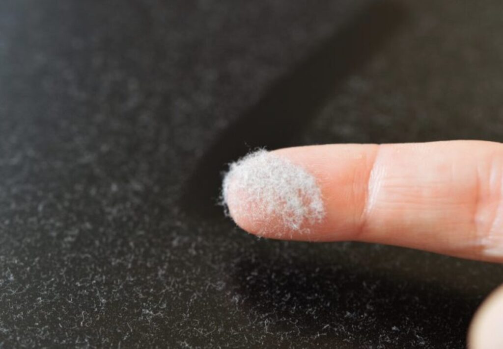 指先に白く細かいホコリや繊維状の汚れが付着している様子を接写した画像で、室内の黒い表面に積もった微細なホコリを触って確認している状態