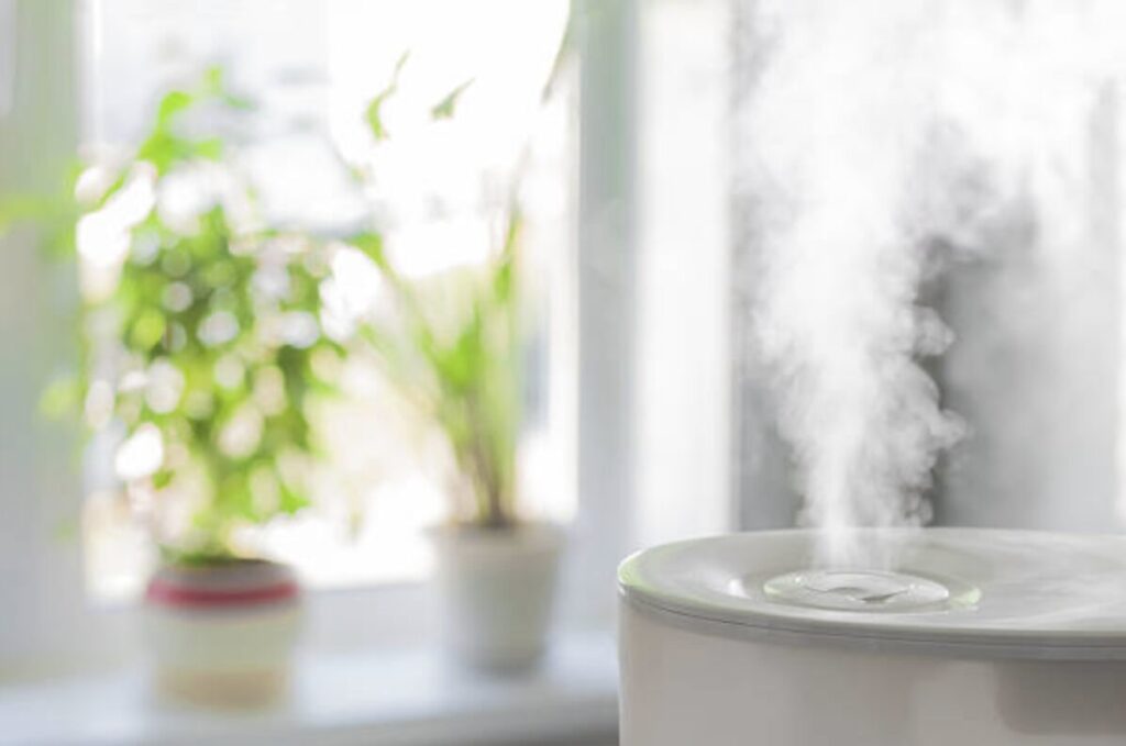 窓辺に置かれた加湿器の吹き出し口から、白いミストが立ち上り、背後に観葉植物がぼんやりと映る明るい室内の様子