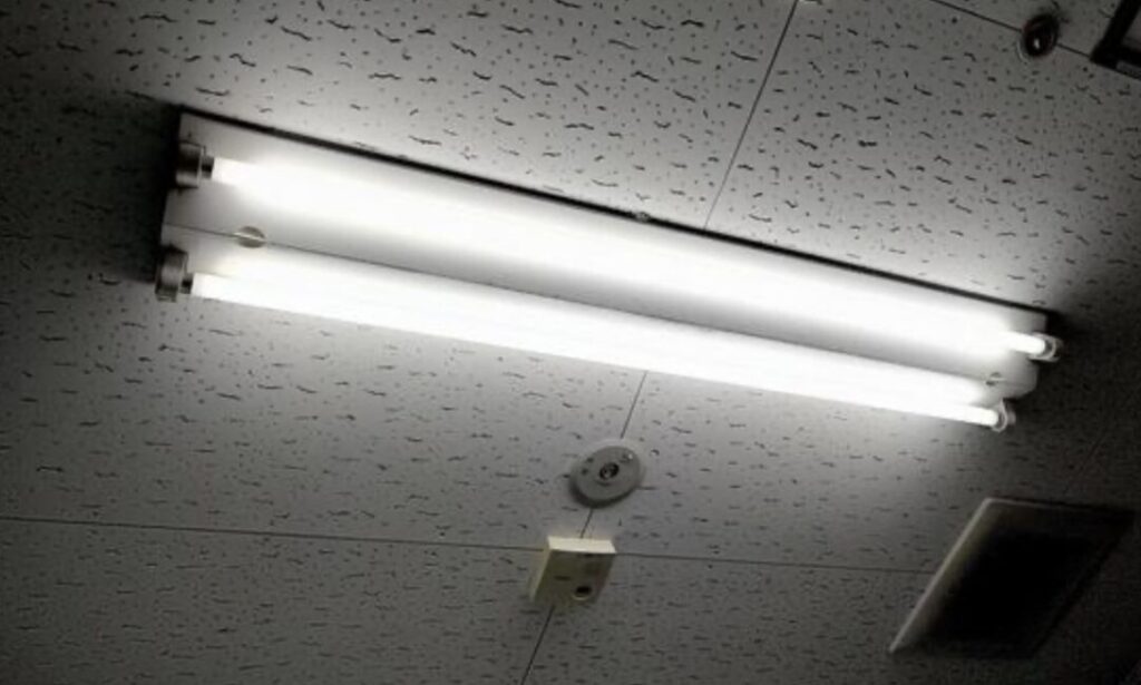 天井直付け型の蛍光灯照明器具。2本の直管蛍光灯が並んで点灯しており、古いオフィス照明の構成が分かる。