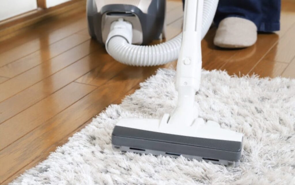 キャニスター型掃除機のヘッドで、毛足の長いラグを掃除している様子。ホースと本体が床に置かれた家庭用掃除機の使用風景。