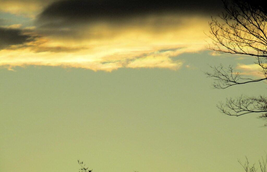 黄砂で黄色く濁った空と薄雲が広がる夕方の空模様