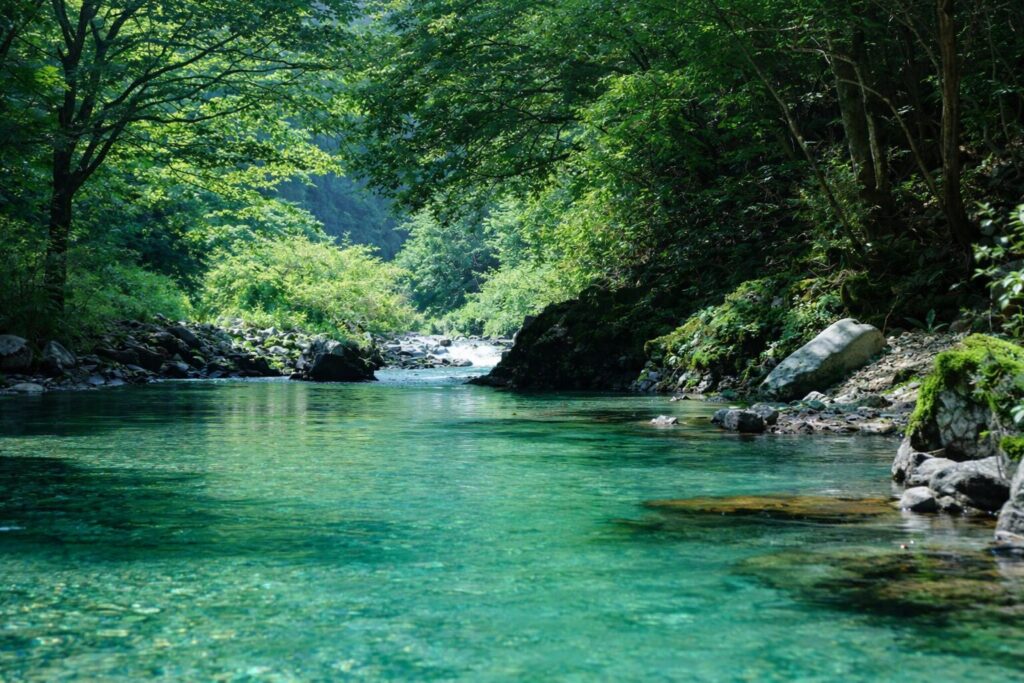 透き通ったエメラルドグリーンの水が流れる渓流と、緑豊かな森林に囲まれた自然風景