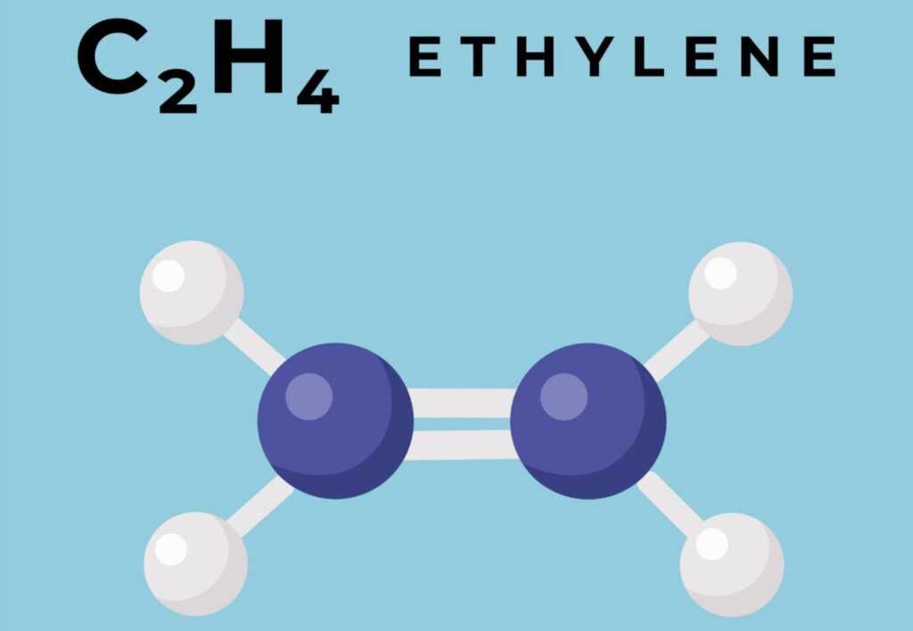 エチレン（C2H4）の分子構造をシンプルに表現した横長イラスト