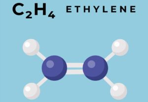 エチレン（C2H4）の分子構造をシンプルに表現した横長イラスト