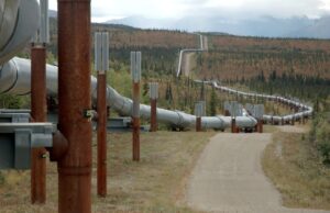 森林地帯の中を長距離にわたって続くパイプラインと整備用道路の様子