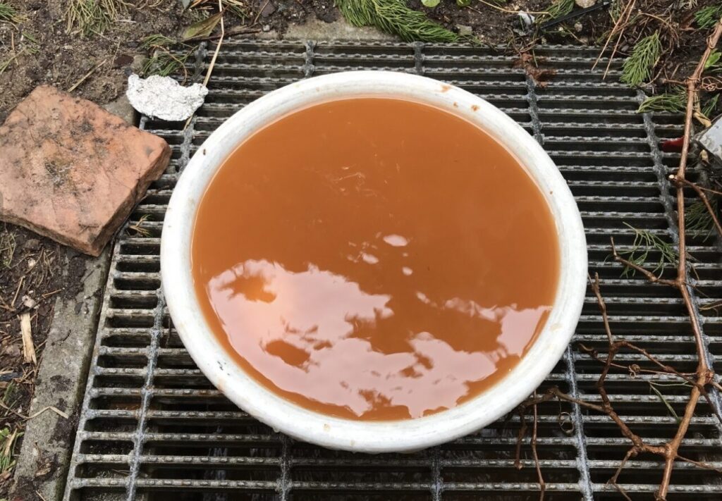 屋外の排水グレーチング上に置かれた容器に茶色く濁った水が溜まっている様子