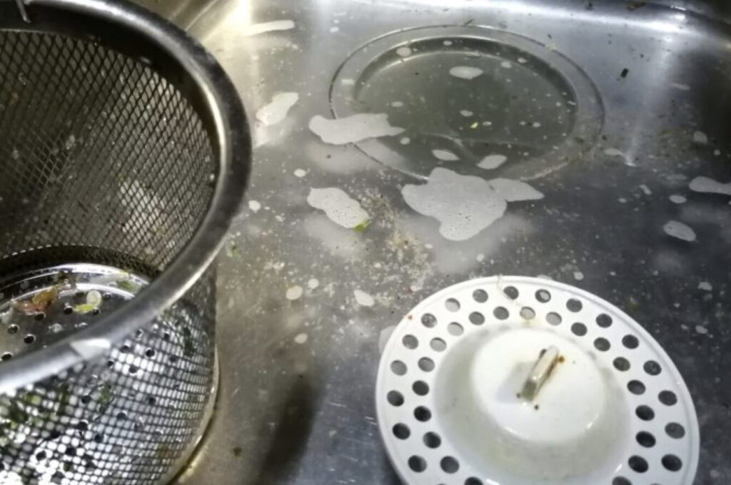 汚れや食べかすが残った排水口とゴミ受けの状態